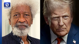 Нигерийский писатель Воле Шойинка заявил, что США аннулировали его визу