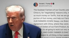 Трамп обсудит закупки соевых бобов с председателем КНР Си Цзиньпином через 4 недели