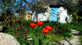 Питомник «Первоцвет» творит благо в Крыму