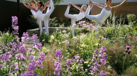 Выставка цветов в Лондоне Chelsea Flower Show 2008 (фотообзор)