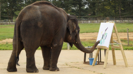 Каришма — слониха-художница