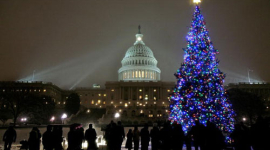 В Вашингтоне установили рождественскую ёлку (фотообзор)