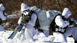 Солдаты Южной Кореи провели ежегодные зимние учения