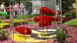 Фотоогляд виставки квітів у Києві (частина 3)