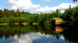 Краса лісового озера в Кіржачі