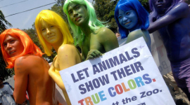 PETA призывает освободить животных (фотообзор)