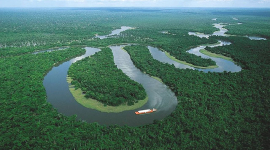 Чарівна Амазонка — найдовша річка світу