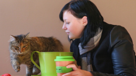 У Австралії відкрили кав'ярню спеціально для любителів кішок