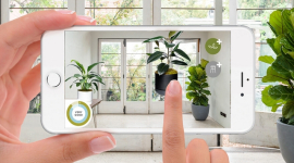 Лучшие растения для оздоровления микроклимата дома — создано приложение Plant Life Balance