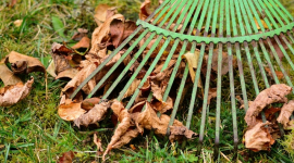 Осенний мусор как ценный ресурс: в Ровно запустили переработку листьев в удобрение
