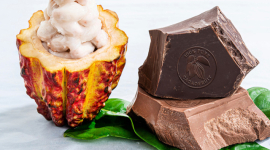 Экологический шоколад из плодов какао, которые раньше шли на выброс, — новинка от Barry Callebaut