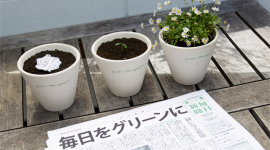 В Японії створили газету на 100% із переробленого паперу, в який додано насіння рослин (ФОТО)