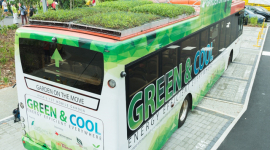 В Сингапуре появились автобусы с травой на крыше — инициатива «Garden on the Move»