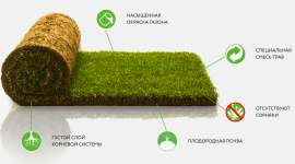 Полезные данные о рулонном газоне