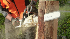 Как купить оригинальную бензопилу STIHL и обезопасить себя от приобретения подделки