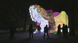 В Париже к Рождеству открылась выставка гигантских фонарей (ВИДЕО)