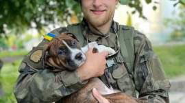 10 фотографий кошек и собак, которые были спасены украинскими солдатами, опубликованы Instagram-аккаунтом