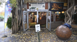 Швеция: сбежавшая кобра "Гудини" вернулась в свой зоопарк