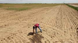 Китайцы скупают сельскохозяйственные земли в США. Законодатели видят в этом «угрозу национальной безопасности»