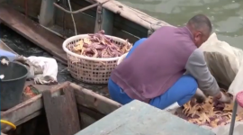 Китай активно використовує примусову працю уйгурів у рибальському секторі (ВІДЕО)