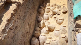 5000-летние кувшины с вином — древнейшая находка, которая сохранила даже виноградные косточки