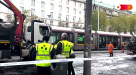 Спокойствие на улицах Дублина восстановлено после ареста 34 человек за беспорядки