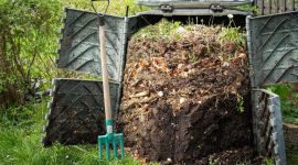 Компост узимку: як зберегти тепло, вологу та активність бактерій