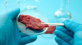 Парламент запретил производство и продажу лабораторного мяса в Венгрии