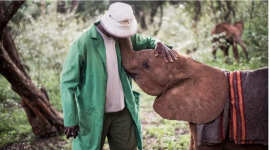 Трогательные фотографии слонят-сирот в заповеднике дикой природы в Восточной Африке (ФОТО)
