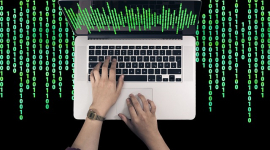 Веб-дизайн – разработка пользовательских интерфейсов