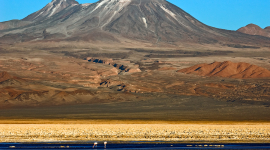 Чили: Вулкан Ласкар издает сейсмический сигнал и усиливает свою активность