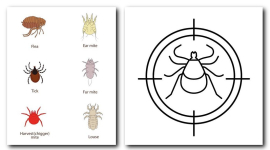  Захист від бліх та кліщів