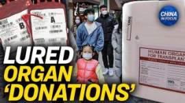 Китайців спокушають здавати кров і жертвувати органи заради пільг (ВІДЕО)