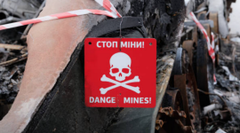 Финляндия рассматривает возможность выхода из соглашения о противопехотных минах