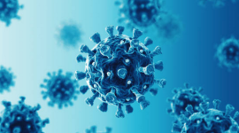 Согласно отчету, мошенничество, связанное с COVID, нанесло ущерб государственным финансам Великобритании в размере 11 миллиардов фунтов стерлингов