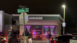 Чотири людини загинули після того, як 14 осіб були розстріляні на сімейному зібранні в Каліфорнії (ВІДЕО)