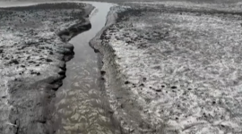 Тунісці відновили протести з вимогою закриття фосфатного заводу в Габесі (ВІДЕО)