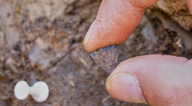 Ученые обнаружили, что люди разжигали огонь на сотни тысяч лет раньше, чем считалось