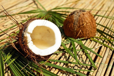Прочная и безопасная упаковка из кокосовых орехов придёт на смену пластику