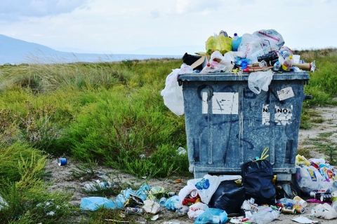 Почему жители Тернопольщины не готовы сортировать мусор?