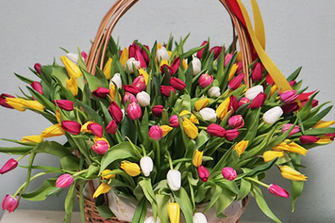 Цветы весны: как выбрать букет тюльпанов, ирисов либо фрезий? 