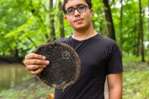 Американец Гейб Тавас изобрёл альтернативную древесину из отходов чайного гриба (ФОТО)