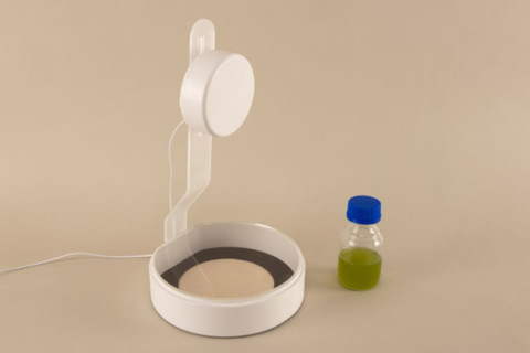  Изобретён принтер, создающий изображения из водорослей (ФОТО)