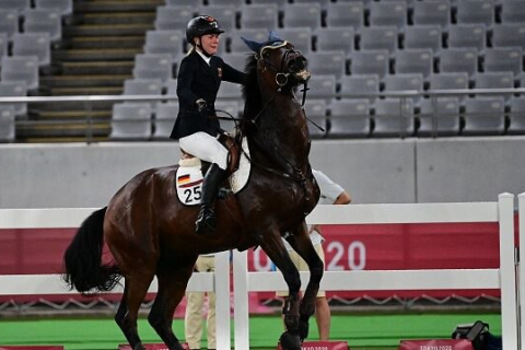 Германия прекратит расследование по факту жестокого обращения с лошадьми на Олимпийских играх