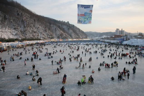 Ловлять навіть голими руками: фестиваль гірської форелі відбувається у Південній Кореї