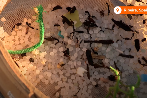 Пластикові гранули забруднюють іспанські пляжі після аварії контейнеровоза (ВІДЕО)