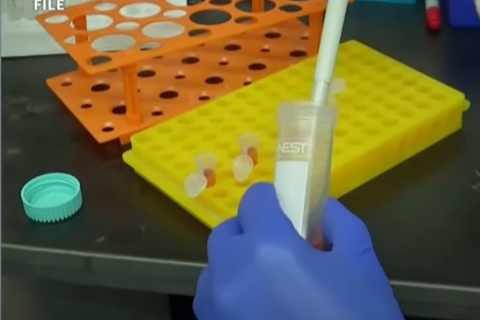 Китайська лабораторія вивчає штам коронавірусу зі смертністю 100% (ВІДЕО)