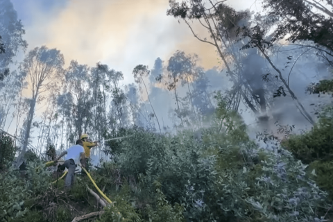 Лісові пожежі знищили понад 17 000 гектарів у Колумбії і вирують поблизу столиці (ВІДЕО)