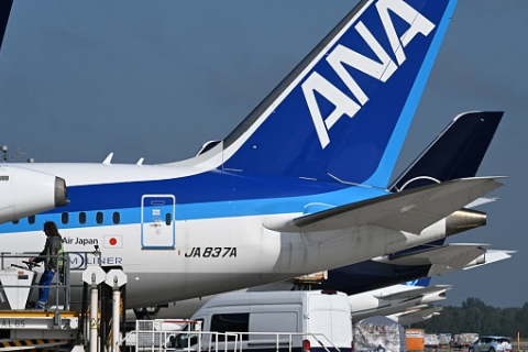 Япония: пассажир укусил стюардессу, самолет повернул назад