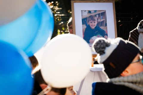 В Бельгии подвергли эвтаназии собак, напавших на 7-летнего ребенка во время кормления